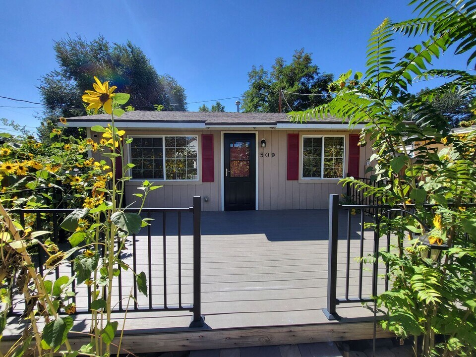 509 E Spear St in Carson City, NV - Building Photo