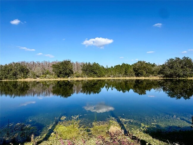 19135 Timber Reach Rd in Tampa, FL - Building Photo - Building Photo