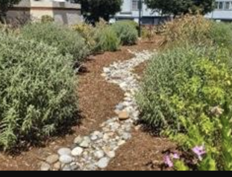 1679 Branham Park Place in San Jose, CA - Building Photo