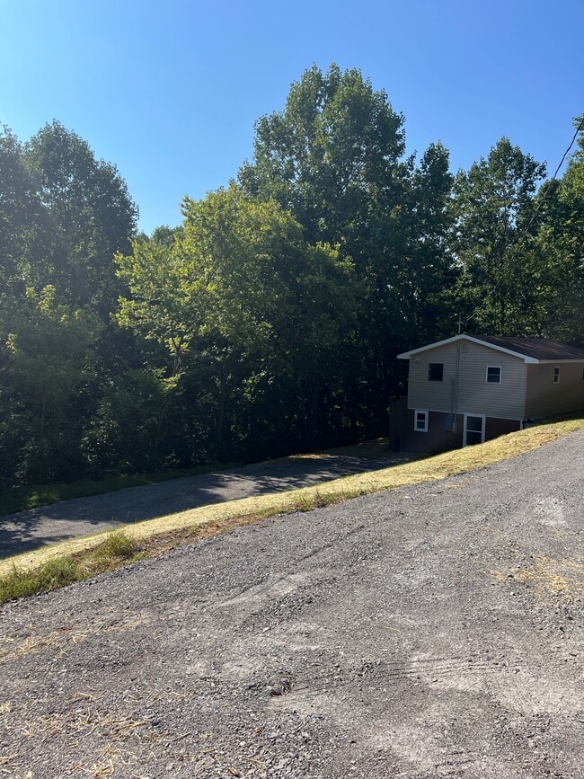 718 Mount Vernon Rd in Bethpage, TN - Building Photo - Building Photo