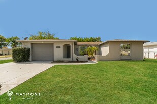 10005 Old Orchard Lane in Port Richey, FL - Building Photo