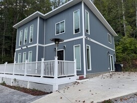 3402 Birds Creek Rd in Sevierville, TN - Building Photo