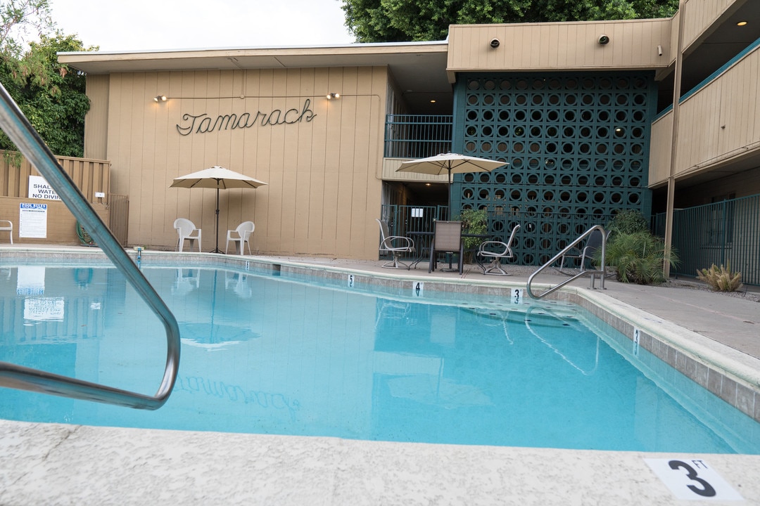 Tamarack in Phoenix, AZ - Building Photo
