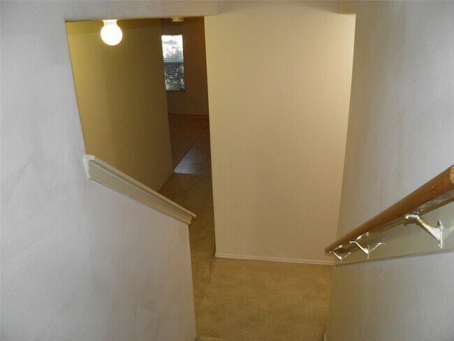 2907 Morton Cove Ln in Katy, TX - Building Photo - Building Photo