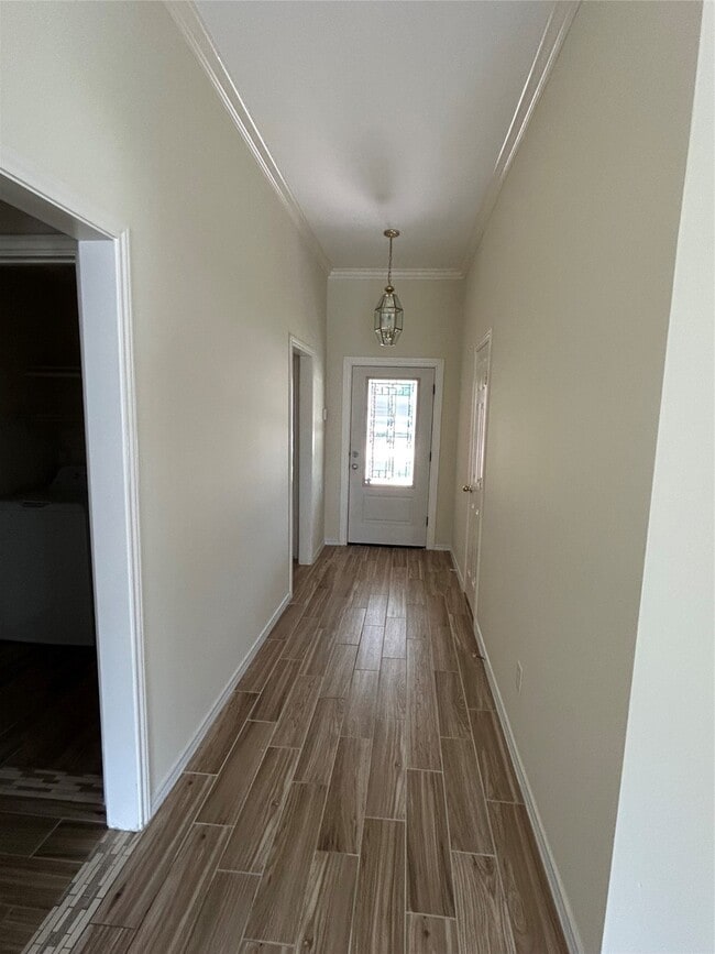 21930 Bronze Leaf Dr in Cypress, TX - Building Photo - Building Photo