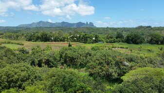 5362 Kumole St, Unit Duplex — Expansive View — Apartments