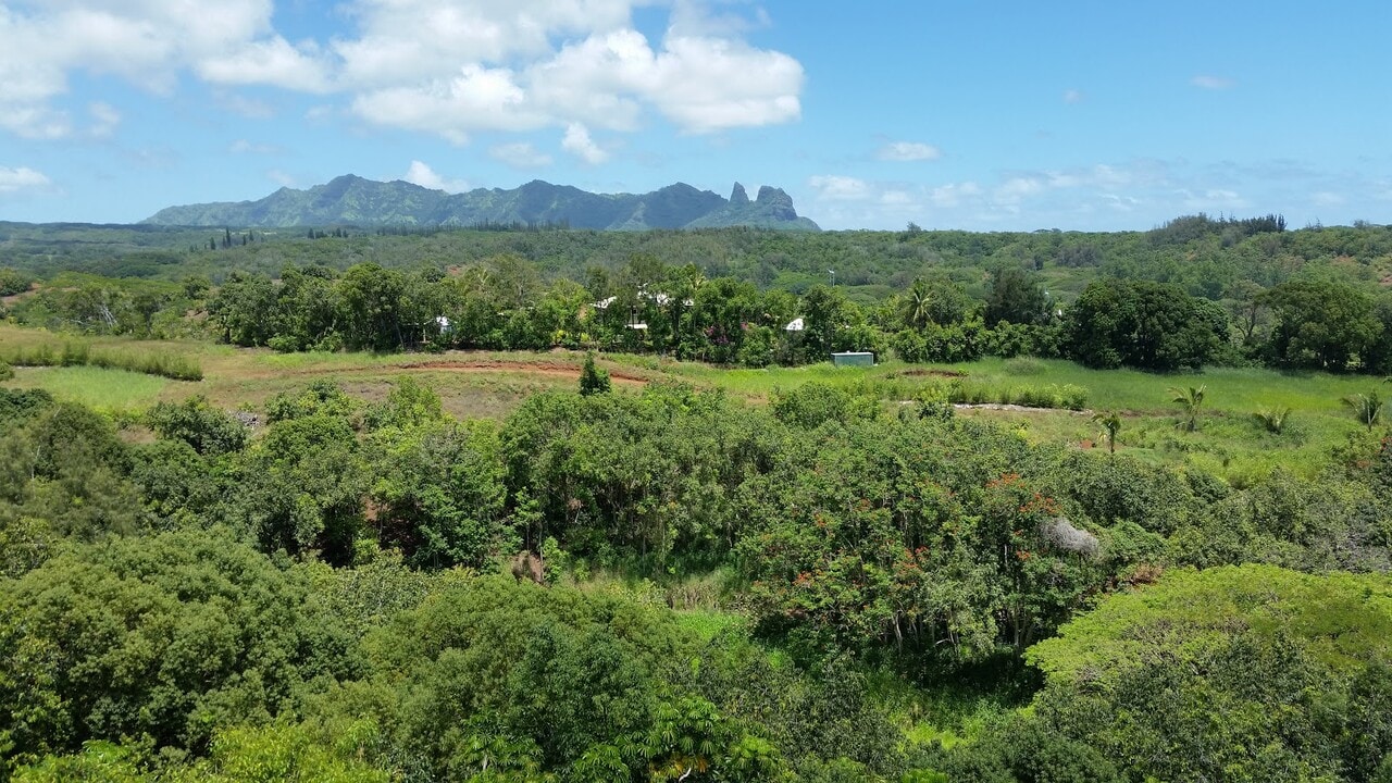 5362 Kumole St in Kapaa, HI - Building Photo