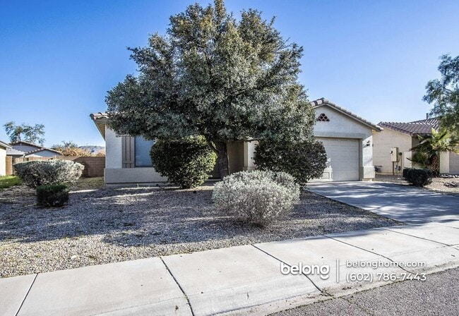 2215 W Nancy Ln in Phoenix, AZ - Building Photo - Building Photo