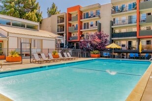 Piedmont in Oakland, CA - Building Photo