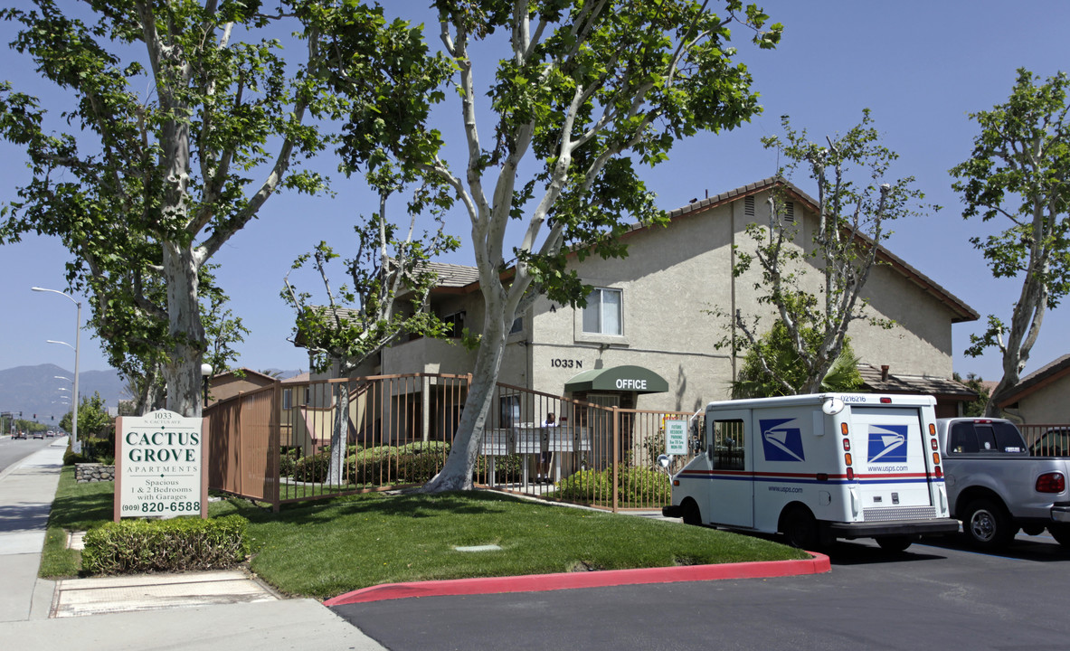 Cactus Grove Apartments in Rialto, CA - Building Photo