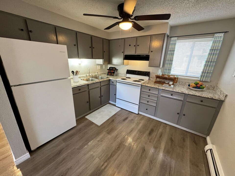 322 Bonnie Ct in Colorado Springs, CO - Building Photo