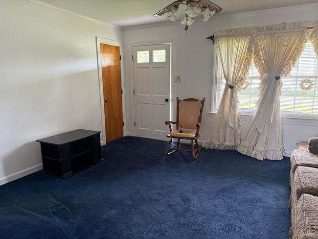 4553 Mark N Smith Rd in Deep Run, NC - Building Photo - Building Photo