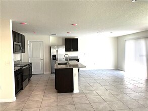 12068 Downy Birch Dr in Riverview, FL - Foto de edificio - Building Photo