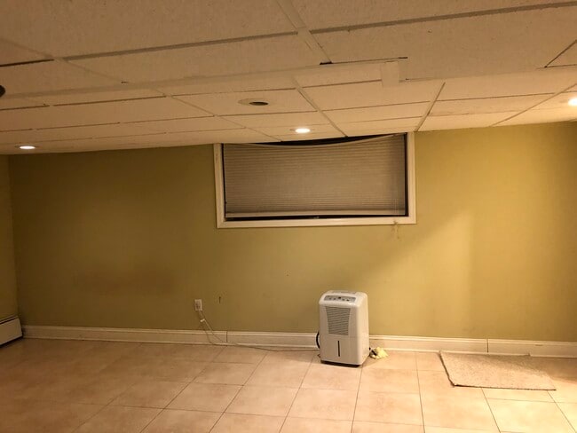 277 Millbrook Ave, Unit Basement