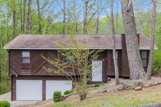 property at 4031 Cindy Dr