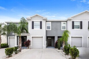 2894 Peony Pr Ln in Wesley Chapel, FL - Building Photo