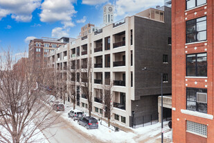 West Loop Collection Apartments