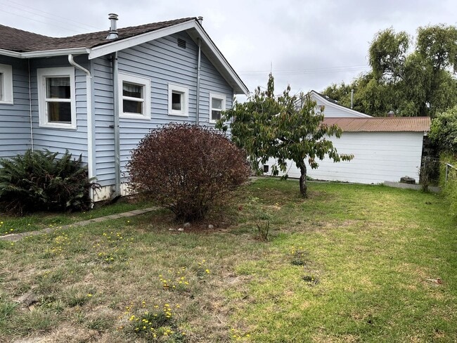 906 11th St in Fortuna, CA - Building Photo - Building Photo