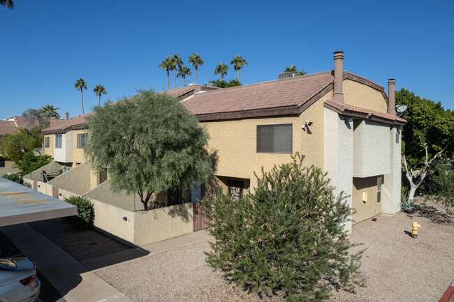 Dobson Glen in Mesa, AZ - Building Photo - Building Photo