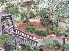 488 Cedar Walk in St. Simons Island, GA - Building Photo - Building Photo