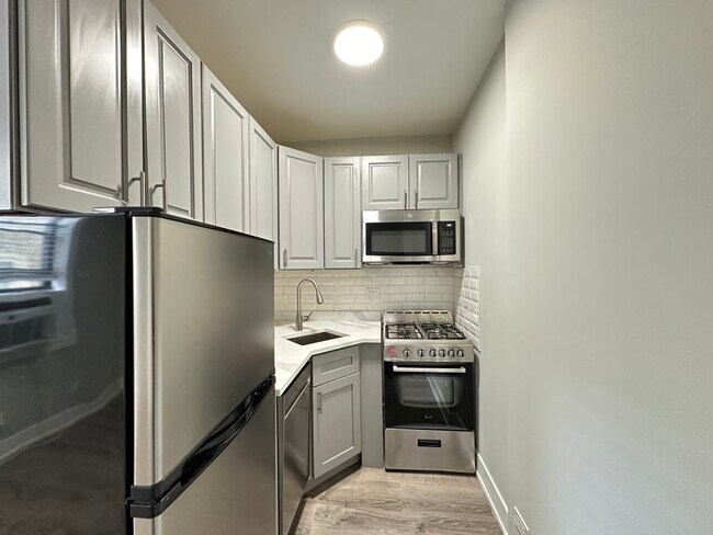 508 W Belmont Ave in Chicago, IL - Building Photo - Building Photo