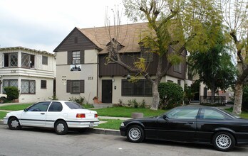 236-236 S Harvard Blvd in Los Angeles, CA - Building Photo - Building Photo