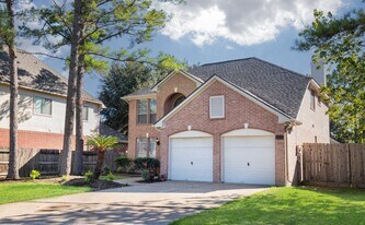 18135 Somerset Knolls Ct in Houston, TX - Building Photo