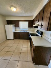 1711 Birchwood Cir in Leesburg, FL - Foto de edificio - Building Photo