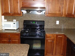 42140 Black Hills Pl in Stone Ridge, VA - Building Photo - Building Photo