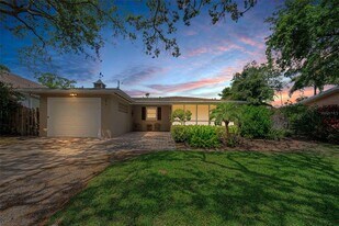 253 Park Cir S in Dunedin, FL - Building Photo