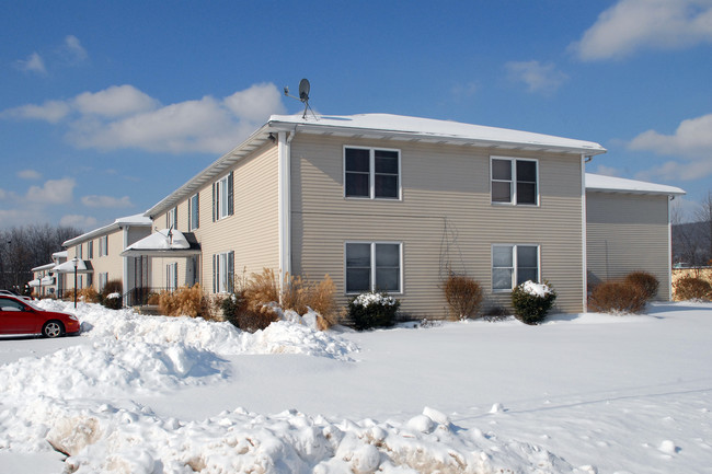 221-223 Hoover St in Old Forge, PA - Foto de edificio - Building Photo