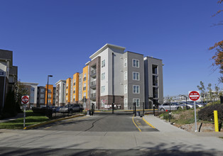 University Walk | Student Housing in Knoxville, TN - Building Photo - Building Photo