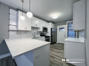 3935 N Janssen, Unit 2 in Chicago, IL - Building Photo - Building Photo