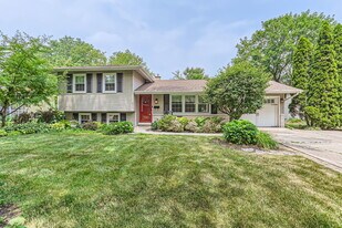 911 Lilac Ln in Naperville, IL - Building Photo