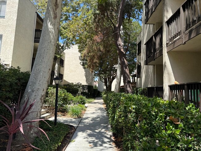 13209 Summertime Ln in Culver City, CA - Building Photo - Building Photo