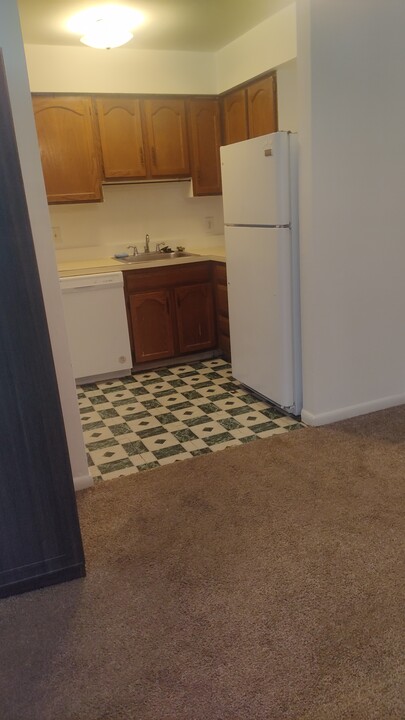157 Parker Ave in Philadelphia, PA - Building Photo