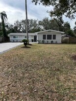 311 Live Oak Ave in Temple Terrace, FL - Building Photo