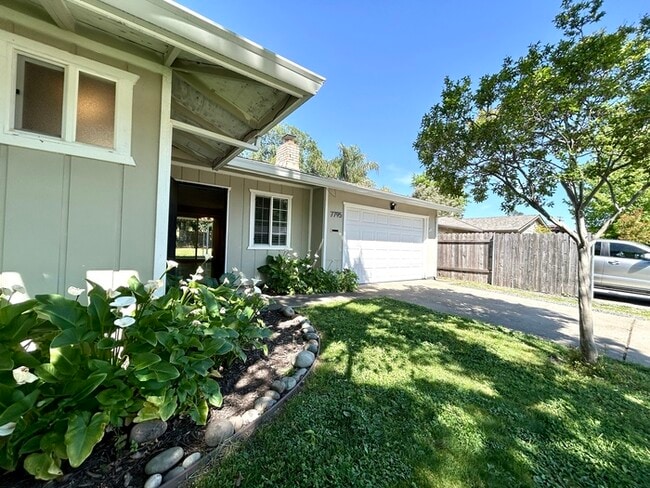 7795 Glen Tree Dr in Citrus Heights, CA - Building Photo - Building Photo