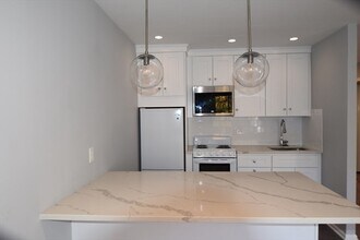 33 Paul St, Unit 20 in Newton, MA - Building Photo - Building Photo