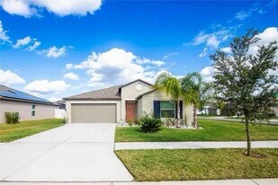 3010 Lytton Hall Dr in Zephyrhills, FL - Building Photo