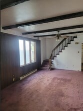 113 Schuylkill Ave in Shenandoah, PA - Foto de edificio - Building Photo