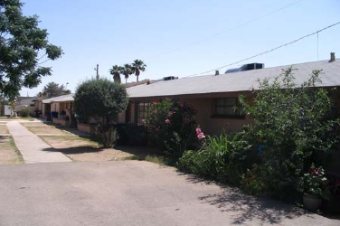 Lemon Tree in Tempe, AZ - Building Photo