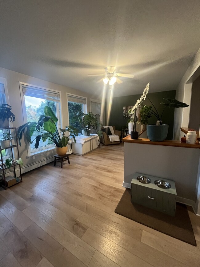 property at 21 Harris St