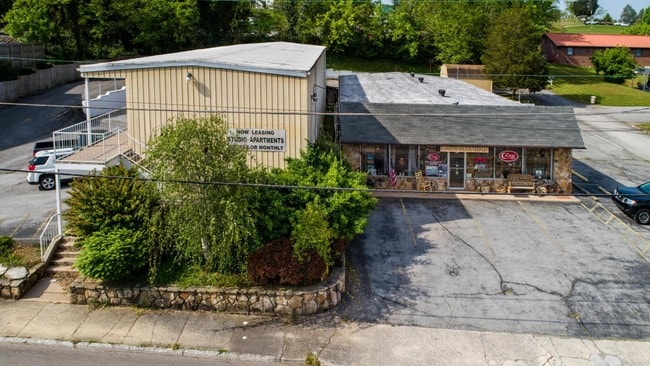 215 E Race St in Kingston, TN - Building Photo - Building Photo