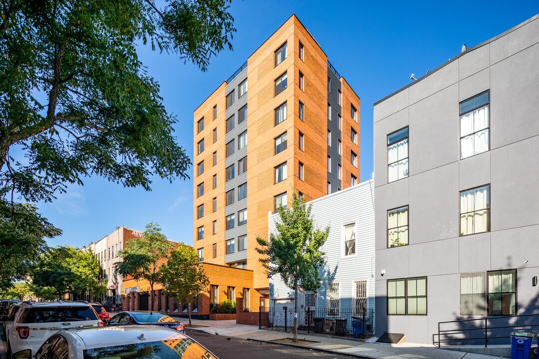 Gloria Willoughby Apartments in Brooklyn, NY - Building Photo