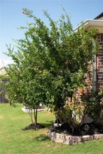16905 Bridgefarmer Blvd in Pflugerville, TX - Building Photo - Building Photo