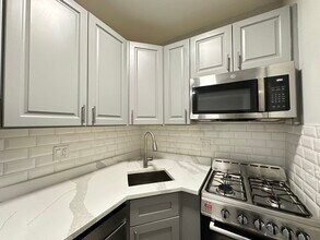 508 W Belmont Ave in Chicago, IL - Building Photo - Building Photo
