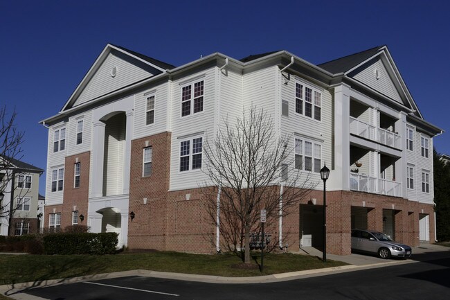 Summerfield at Brambleton in Ashburn, VA - Building Photo - Building Photo