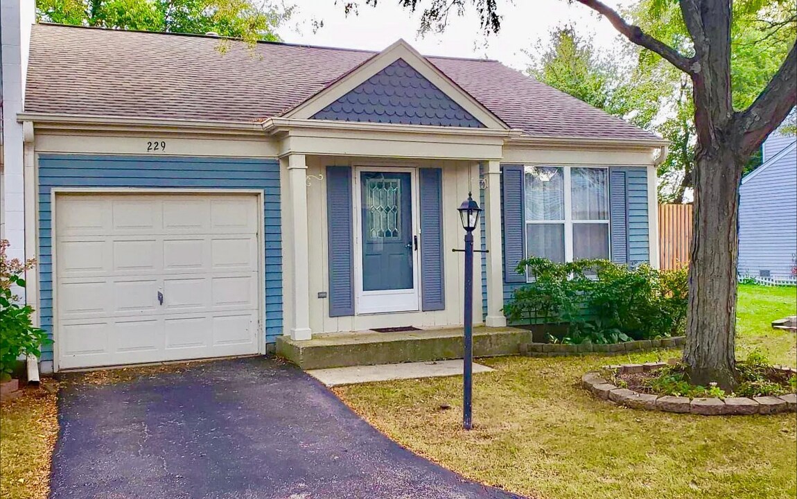 229 W Fairfield Ct in Palatine, IL - Building Photo