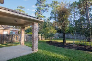 59 W Matisse Meadow Ct in Spring, TX - Building Photo